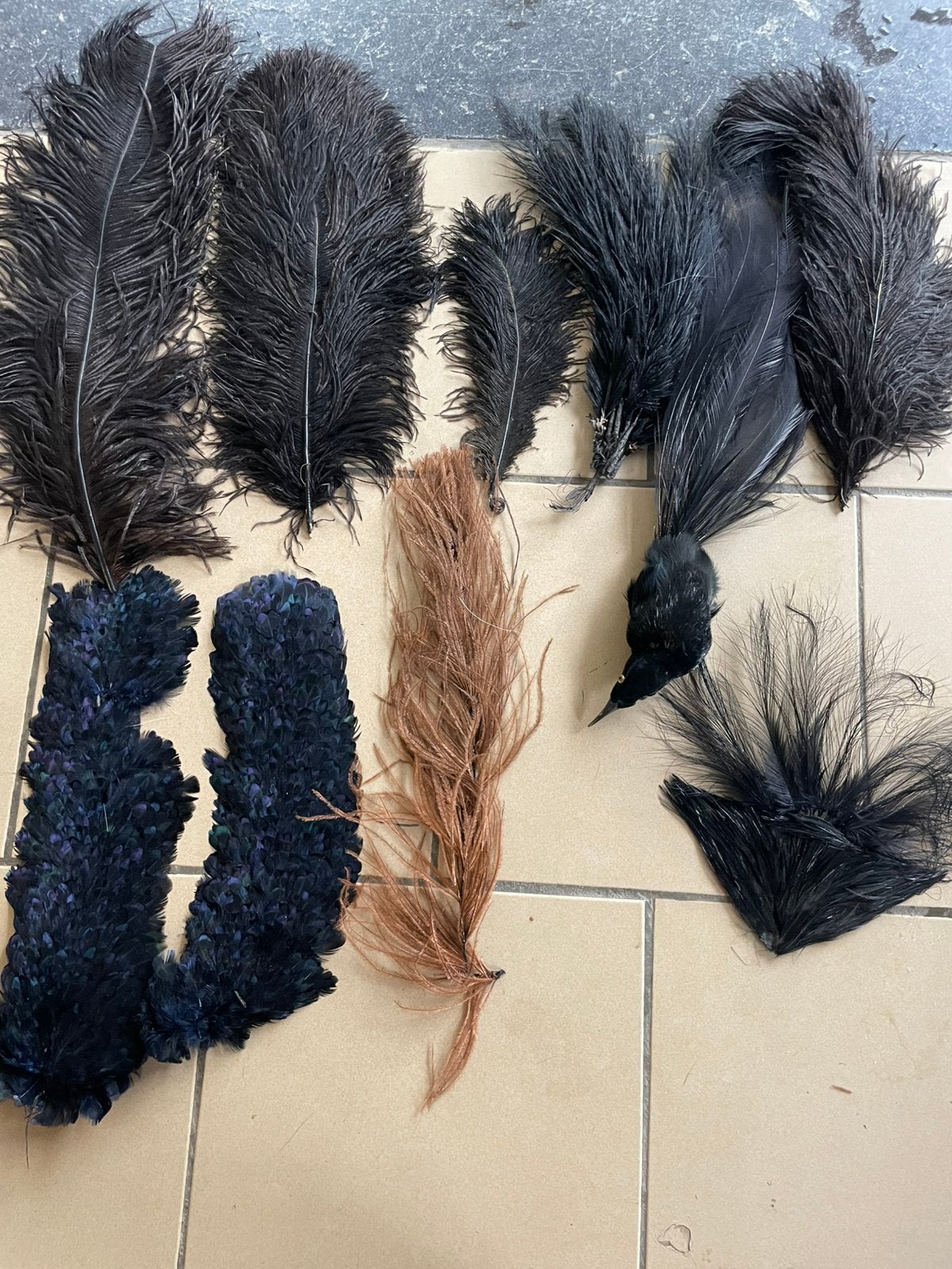 Plumes pour coiffes,chapeaux,revues,…, Antiquités & Art, Enlèvement ou Envoi