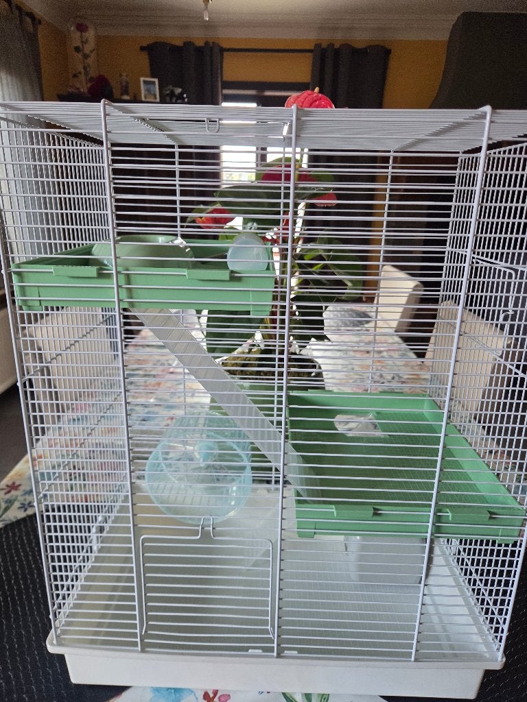 Grote nieuwe hamsterkooi, Ophalen, Kooi, 60 tot 90 cm, Muis