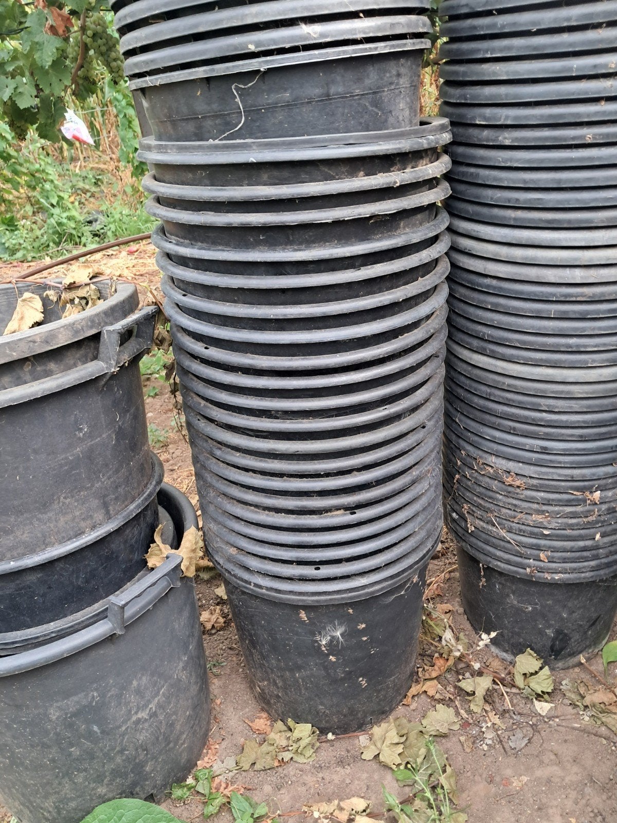 pots à fleurs, Tuin en Terras, Kweekspullen, Ophalen