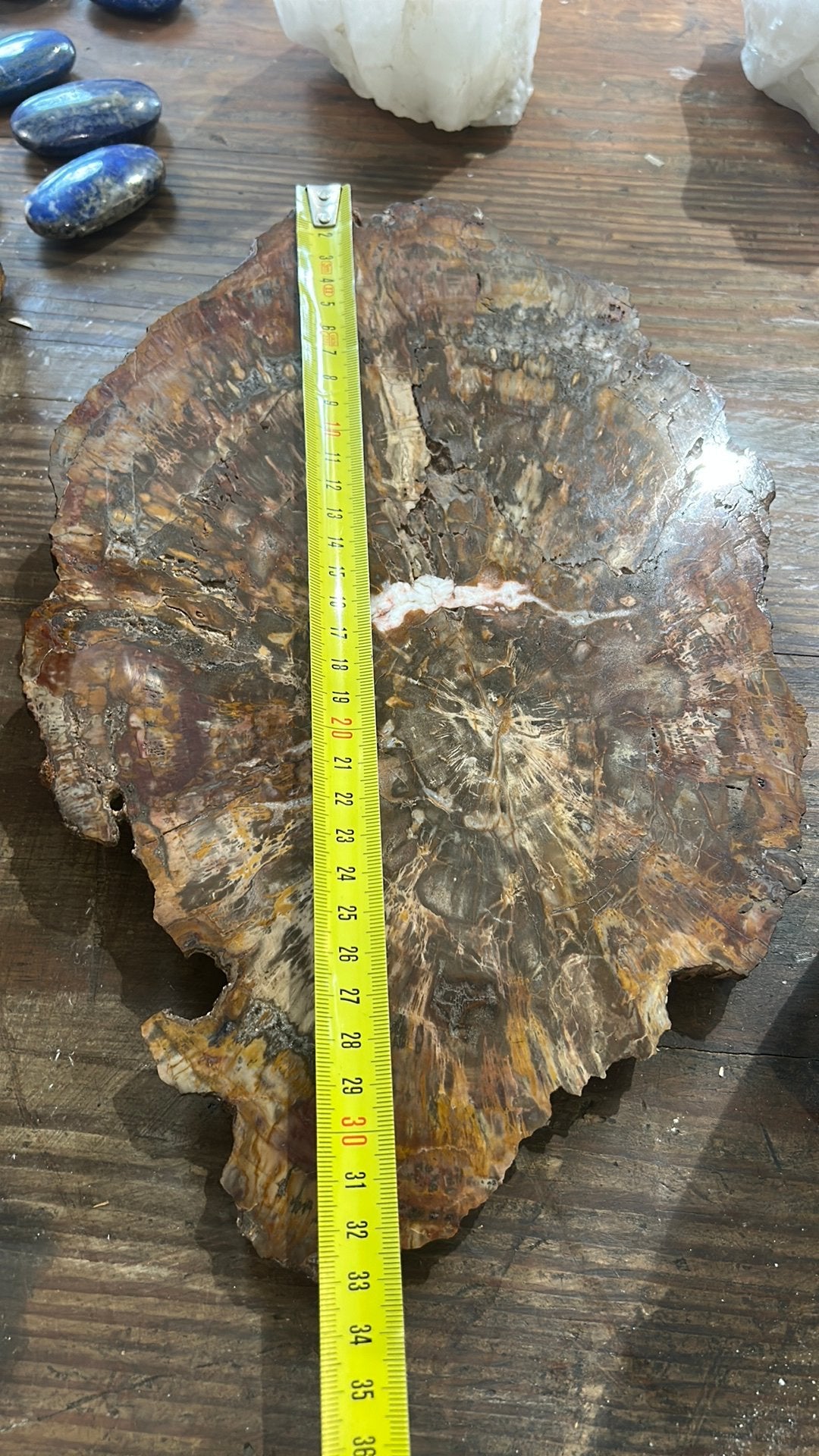 Acaciakleurig fossiel hout ongeveer 2 kilo, Ophalen of Verzenden, Fossiel