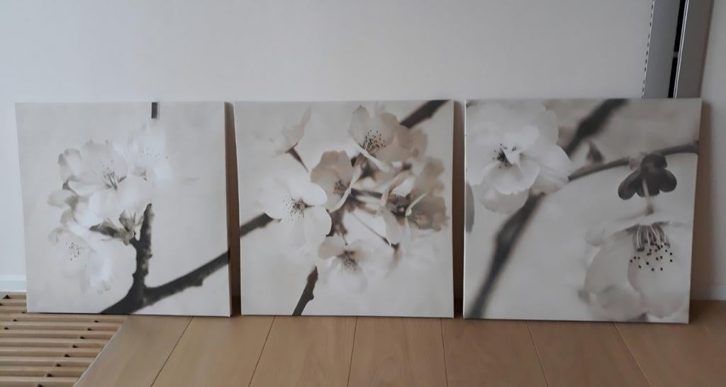 Bloemendrieluik, Antiek en Kunst, Kunst | Schilderijen | Modern, Ophalen