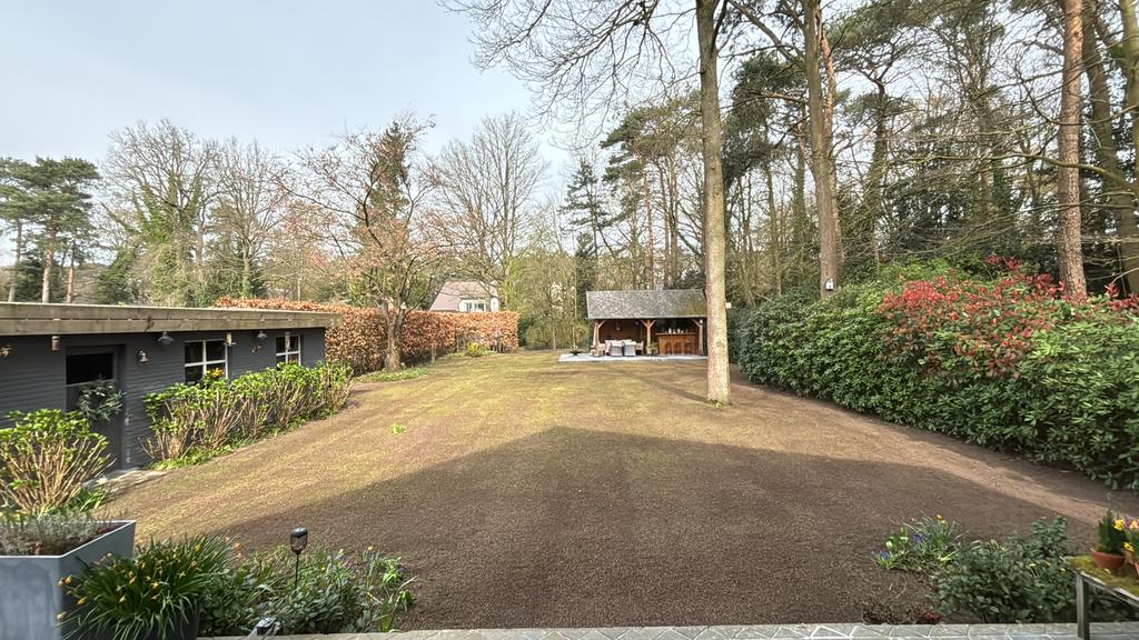 Verticuteren, Inzaaien & Bemesten van uw Gazon, Ophalen of Verzenden, Overige typen