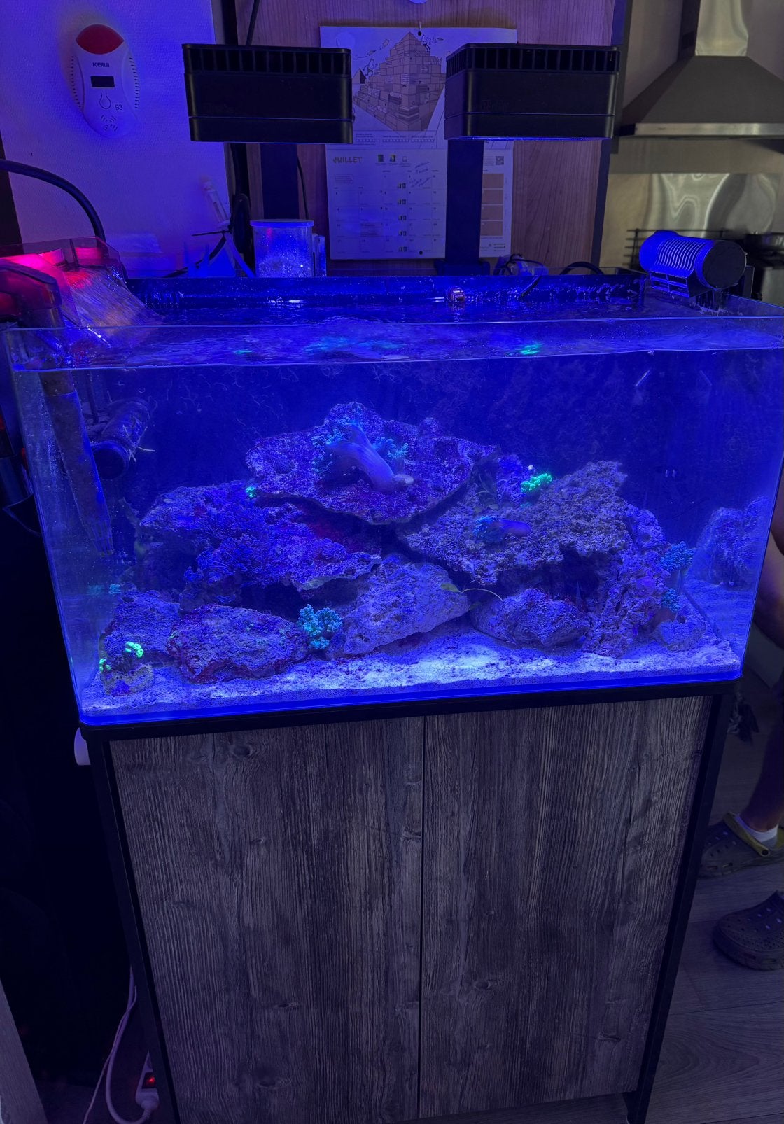 Aquarium, Animaux & Accessoires, Poissons | Aquariums & Accessoires, Comme neuf, Red Sea, Enlèvement