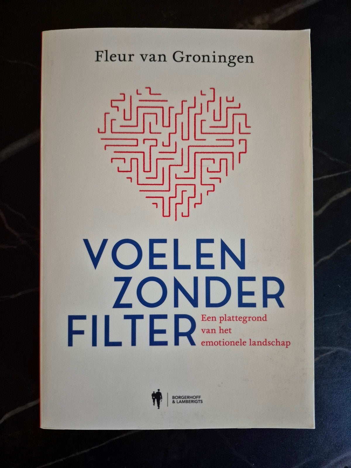 Fleur Van Groningen - Voelen zonder filter, Ophalen of Verzenden, Nieuw, Fleur Van Groningen