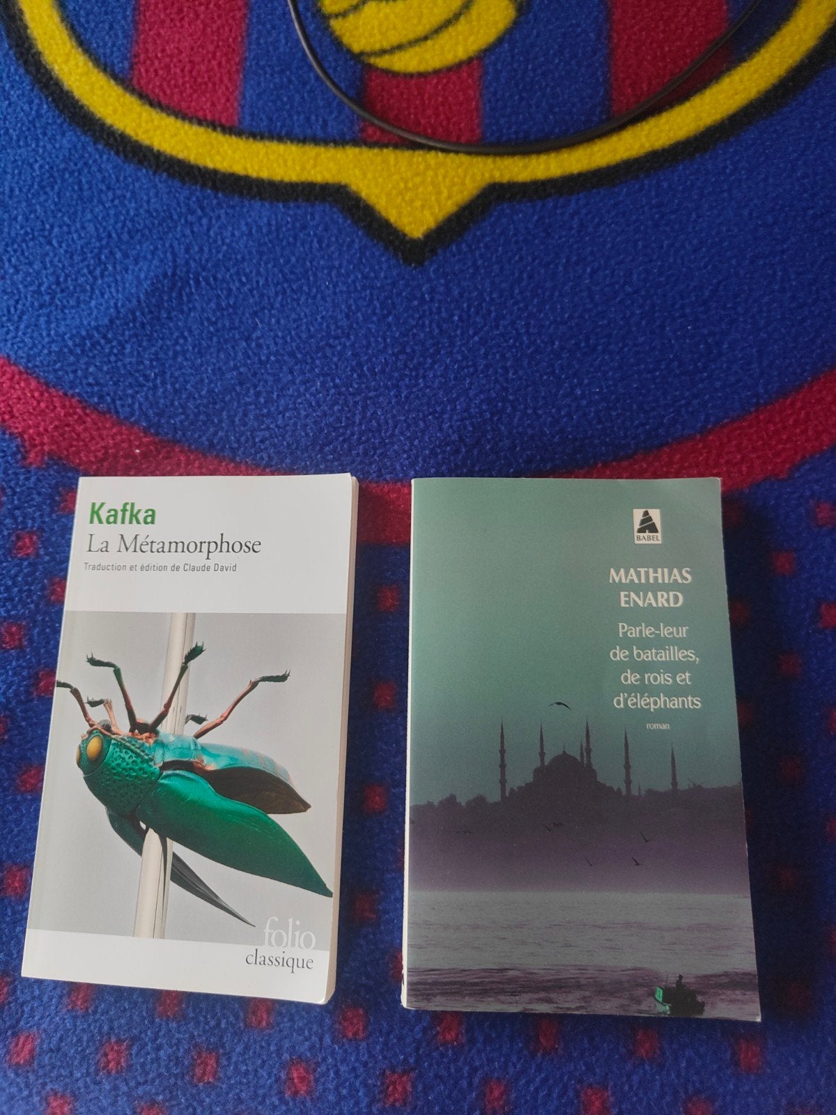livres pour le secondaire, Enlèvement, Comme neuf