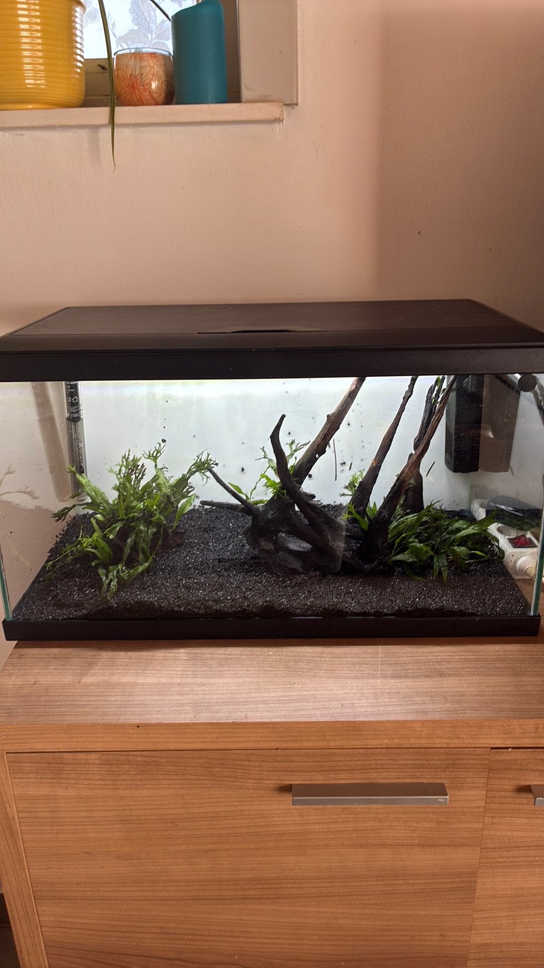 Aquarium, Dieren en Toebehoren, Vissen | Aquaria en Toebehoren, Ophalen, Pomp, Zo goed als nieuw