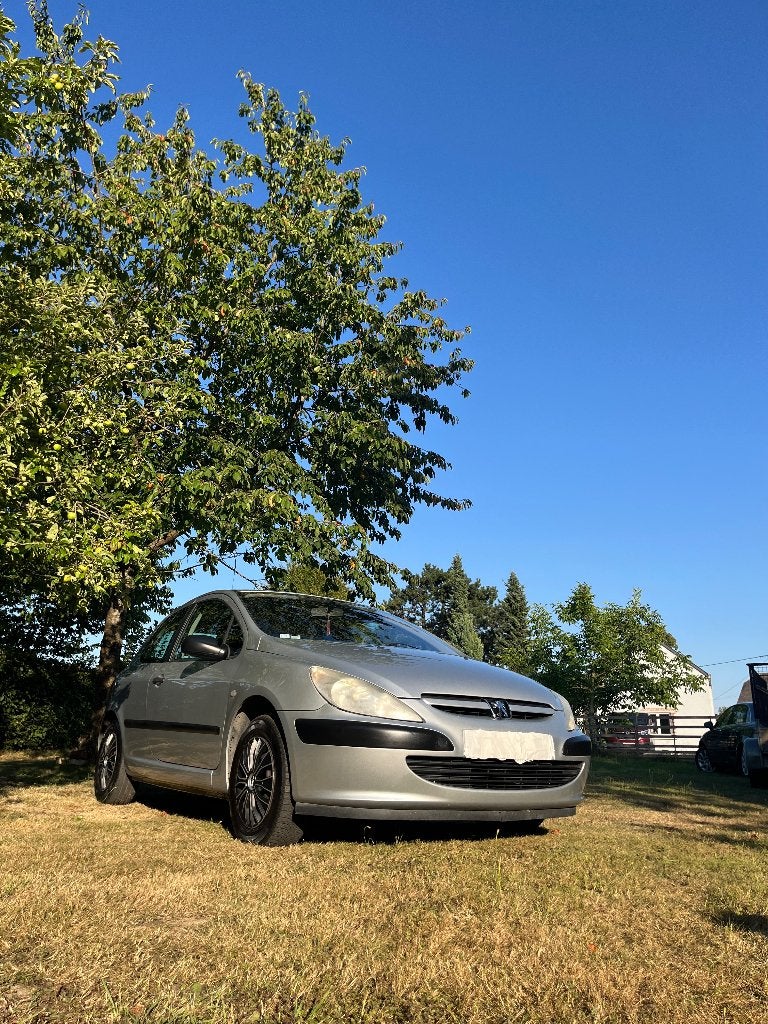Peugeot 307, Auto's, Peugeot, 50 kW, Particulier, Zilver of Grijs, Te koop