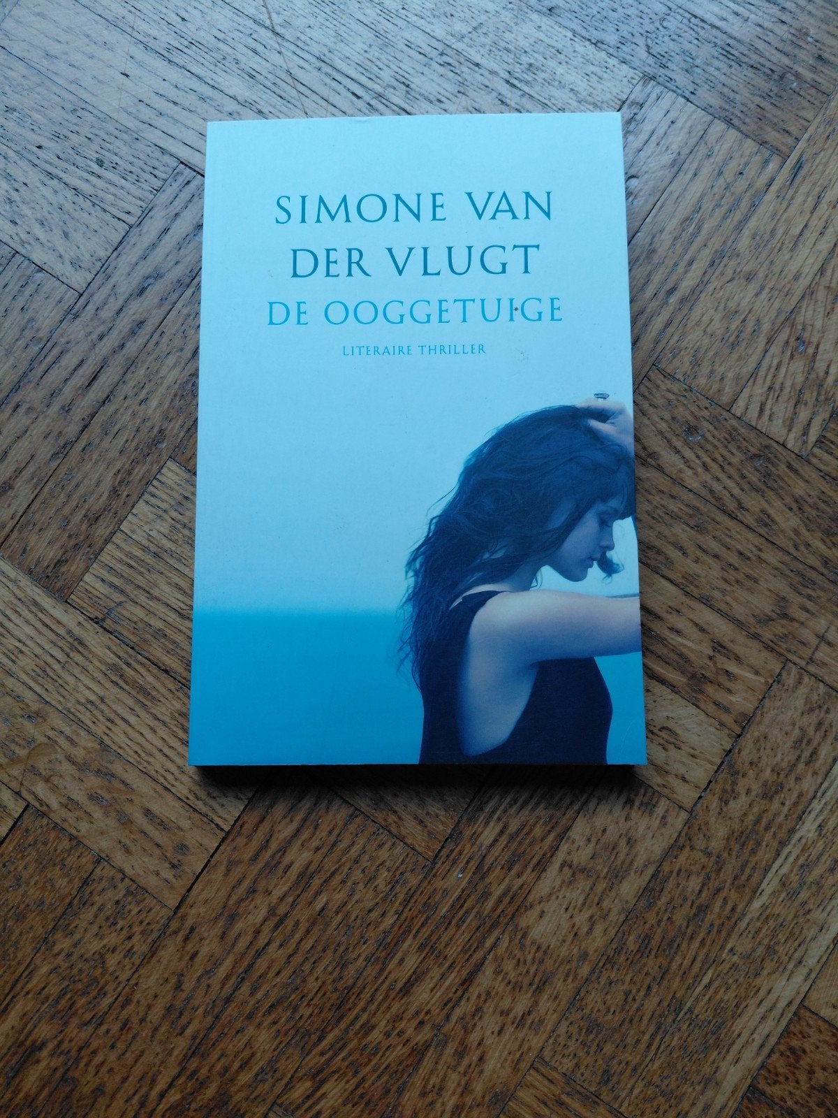 Simone van der Vlugt: De ooggetuige - kortverhaal, Enlèvement ou Envoi, Utilisé