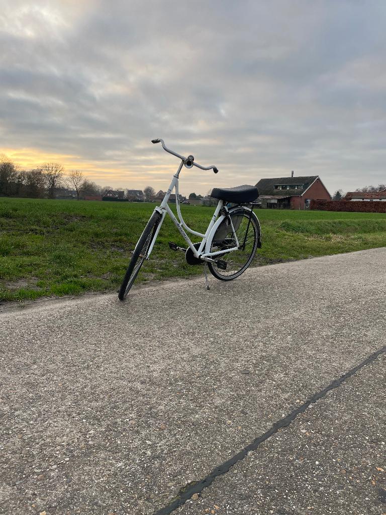 Oma/Tomosfiets, Fietsen en Brommers, 53 tot 56 cm, Ophalen, Nieuw, Terugtraprem