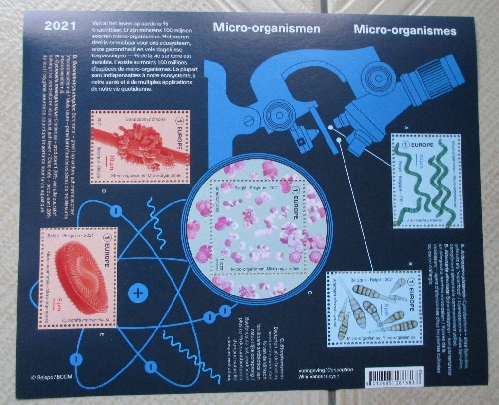 1 blok BL298 micro-organismen 5 x nummer 1 europa, Postzegels en Munten, Europa, Frankeerzegel, Ophalen of Verzenden, Zonder stempel