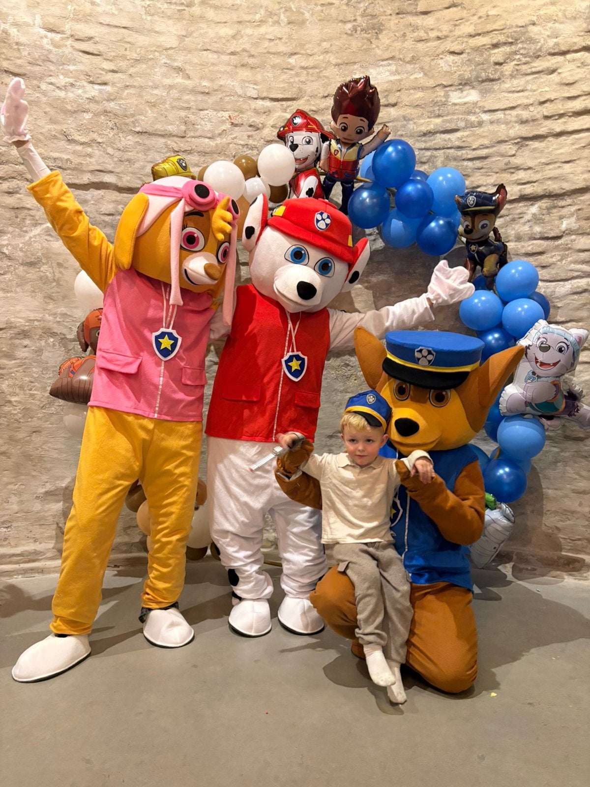 TE HUUR mascottepakken Paw Patrol Skye, Marshall en Chase, Ophalen, Zo goed als nieuw