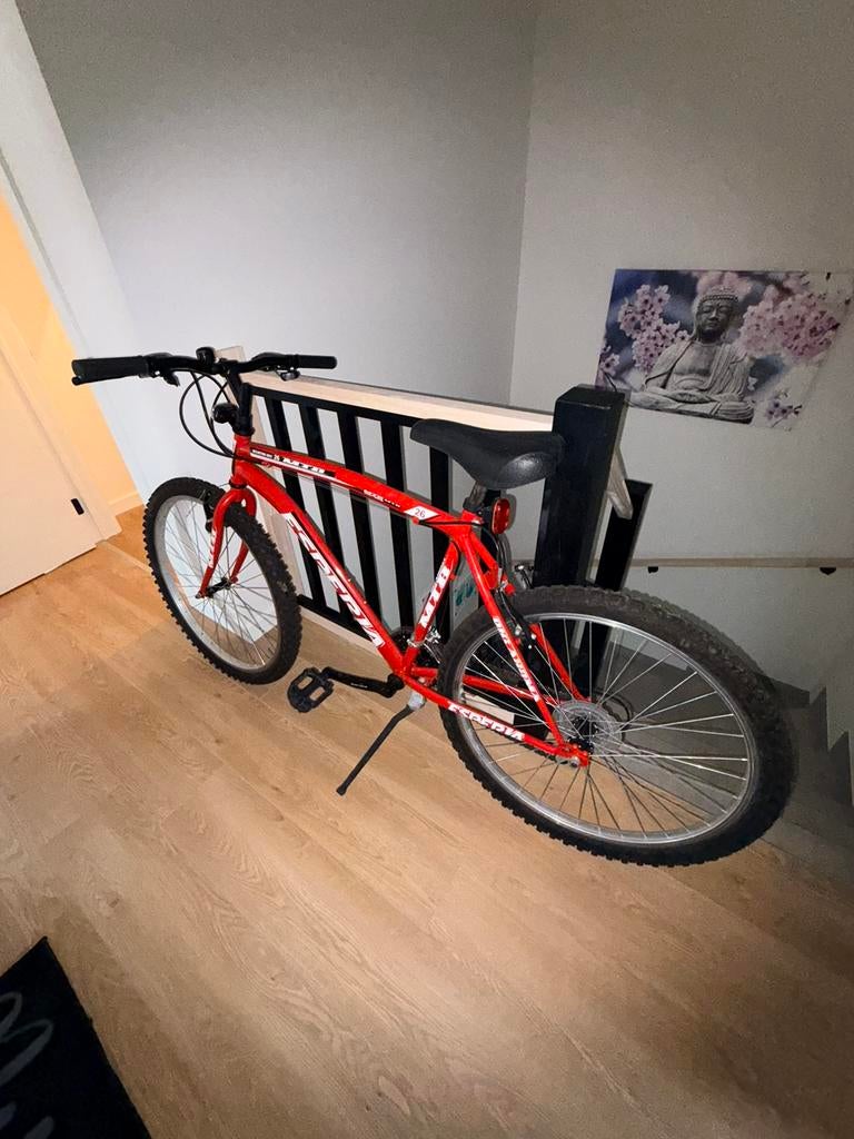 Mtb Esperia, Ophalen, Gebruikt, Heren