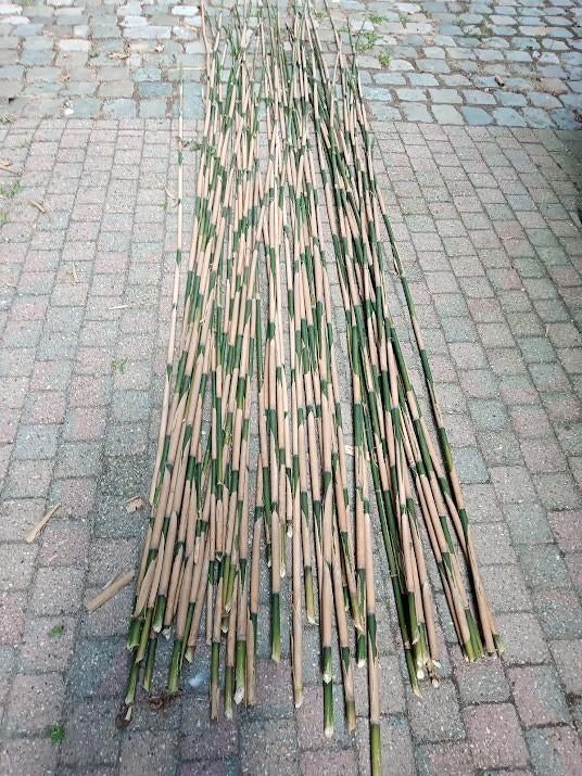 bamboe stokken 10€., Tuin en Terras, Ophalen