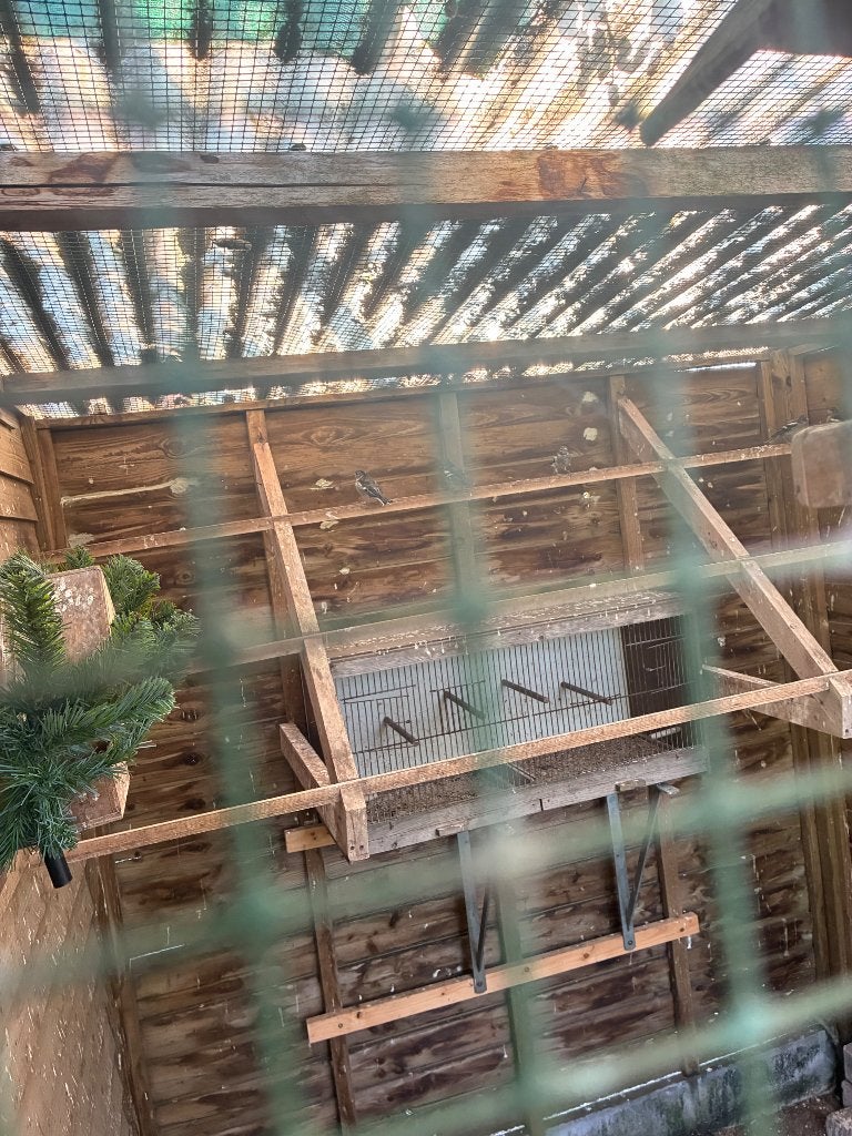 Botvinken, Dieren en Toebehoren, Vogels | Toebehoren, Ophalen, Gebruikt, Overige typen