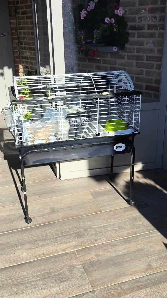 Cage lapin ou autres, Animaux & Accessoires, Cobaye, 75 à 110 cm, Cage, Comme neuf