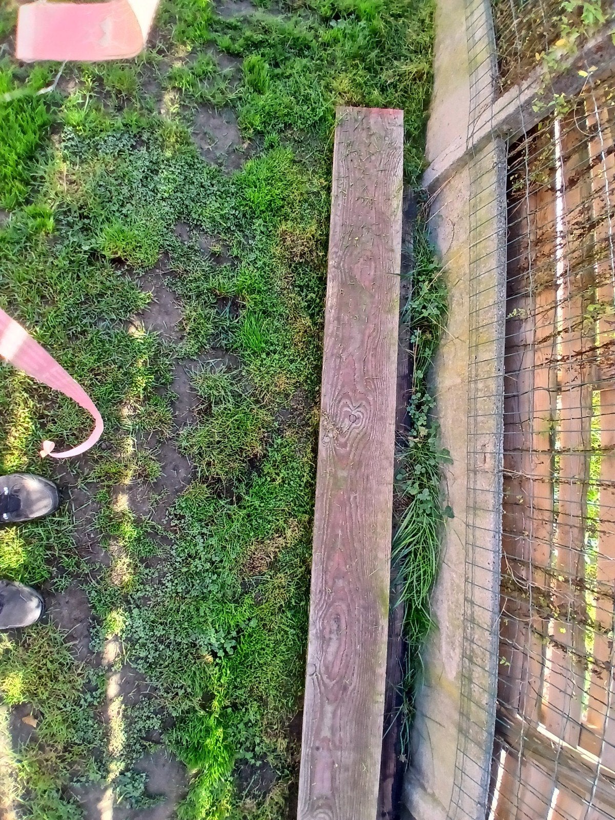 steunbalken, Doe-het-zelf en Bouw, Ophalen, Zo goed als nieuw, 300 cm of meer