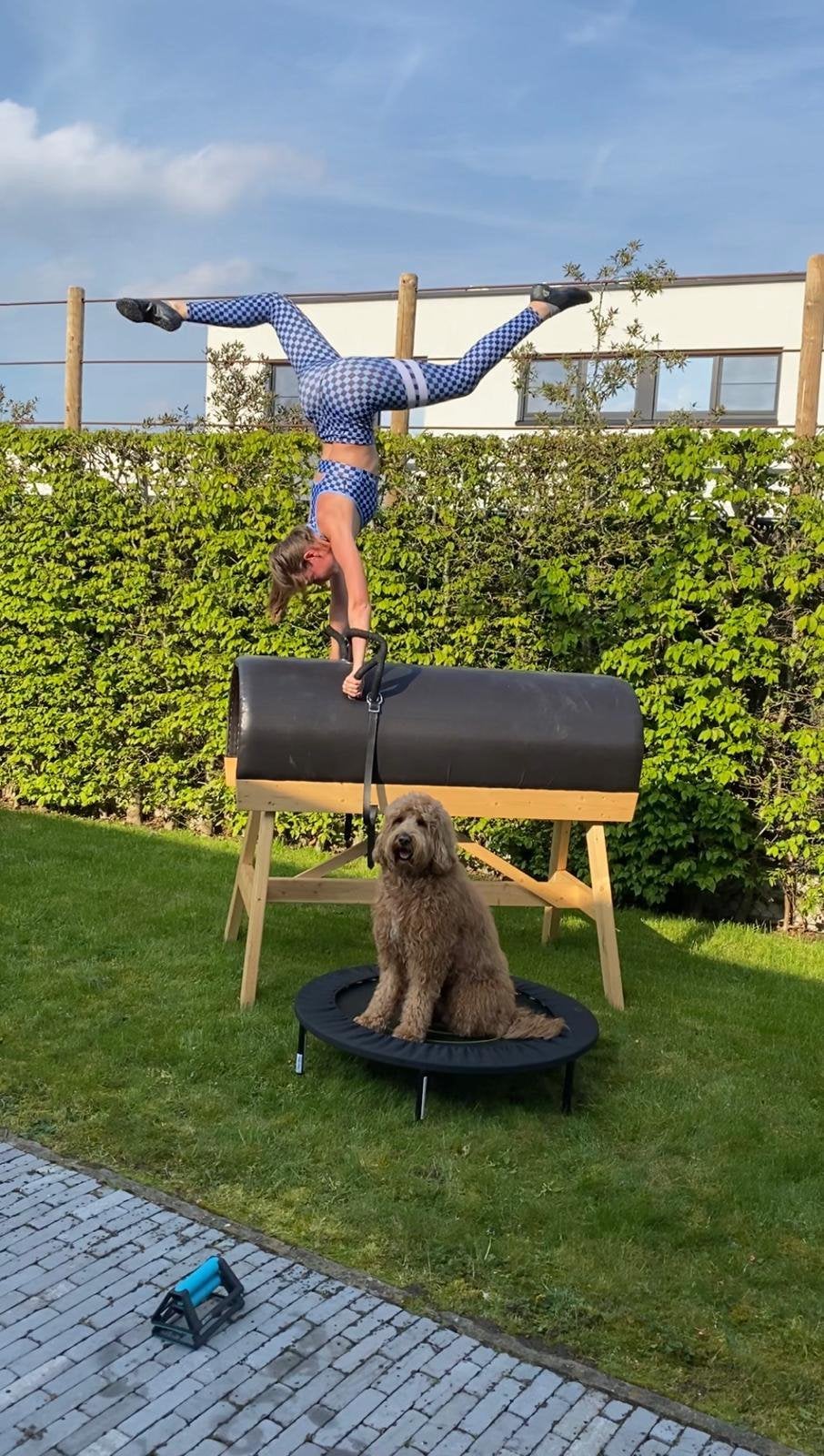 Voltigebok te koop – 140 cm met S-beugels, Dieren en Toebehoren, Paarden en Pony's | Overige Paardenspullen, Nieuw, Overige soorten