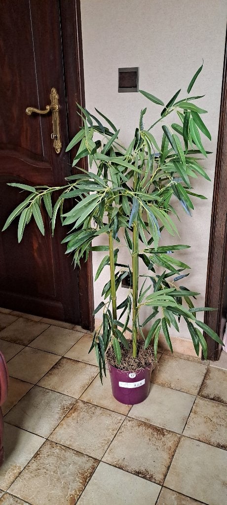 Namaak plastiek bamboo plant in pot, Ophalen, Bamboe, 100 tot 250 cm