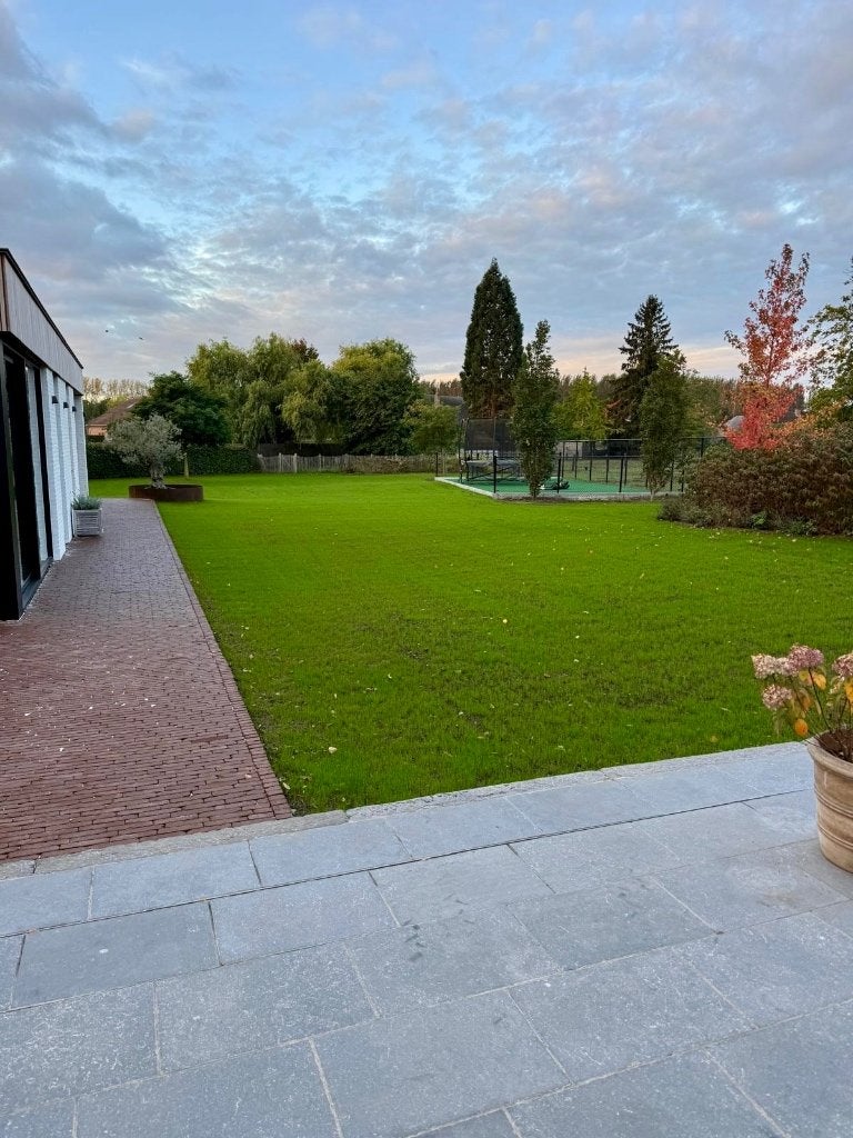 construction de pelouse, Jardin & Terrasse, Enlèvement, Neuf, Herbe