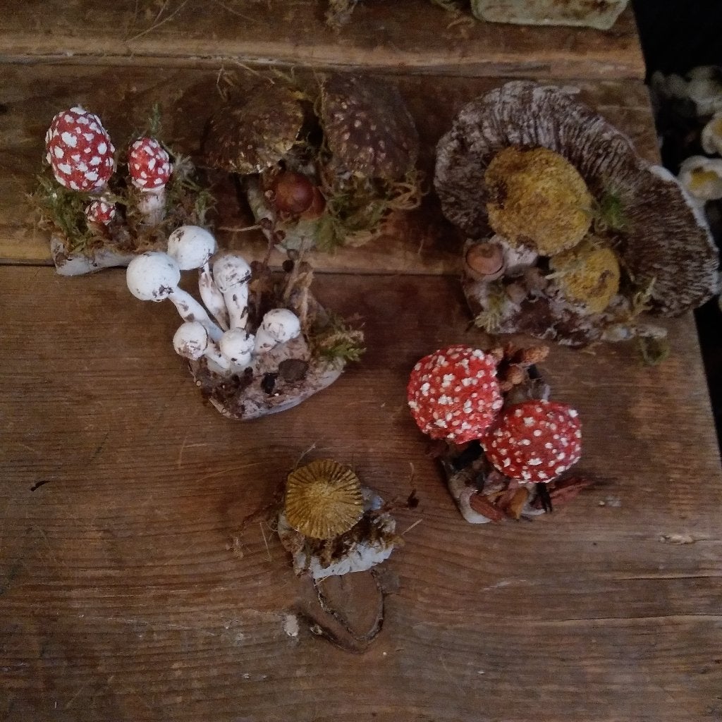 Superbe ensemble de 6 champignons botaniques en plâtre, Envoi