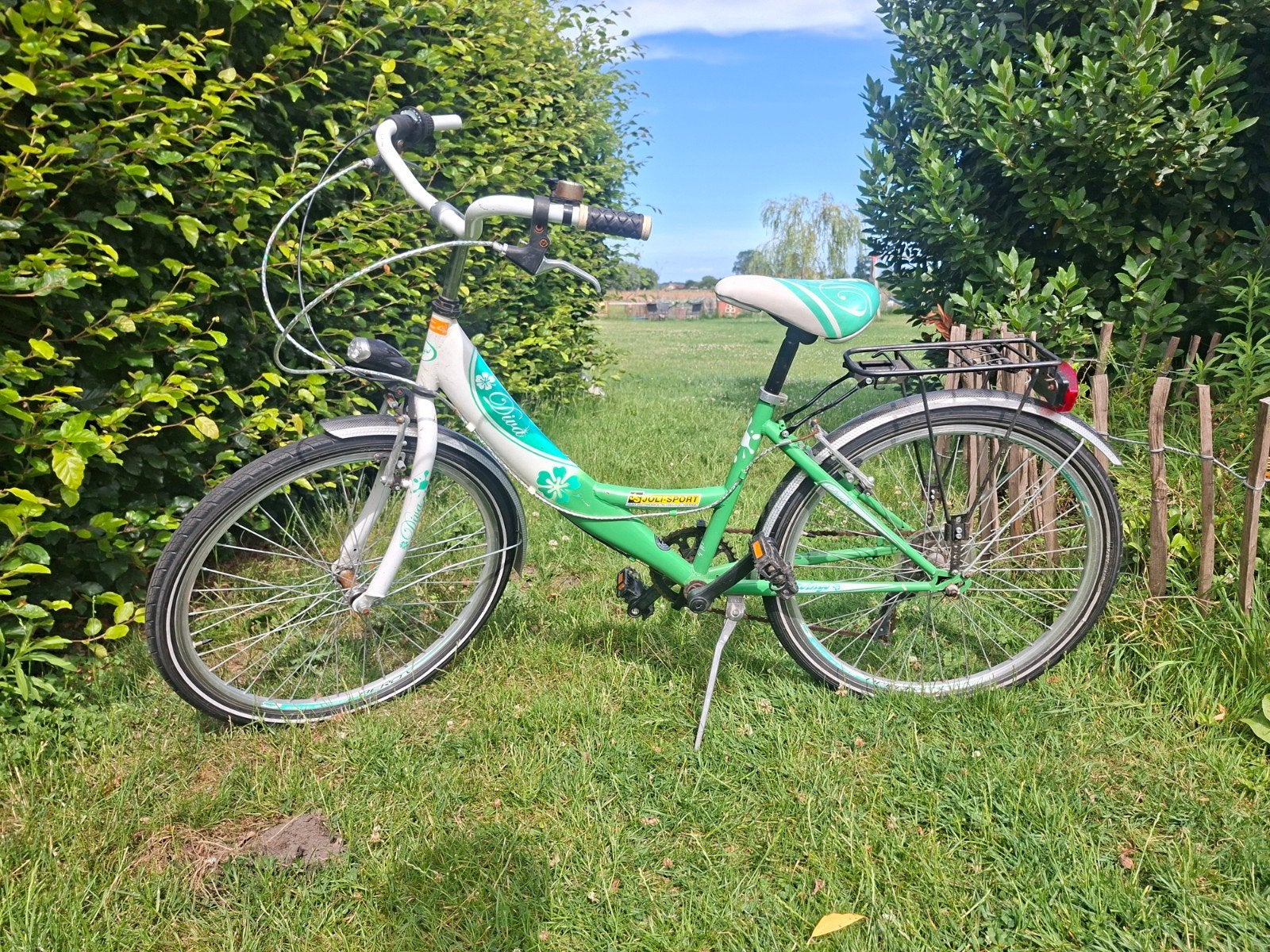 Kinderfiets meisjes., Enlèvement