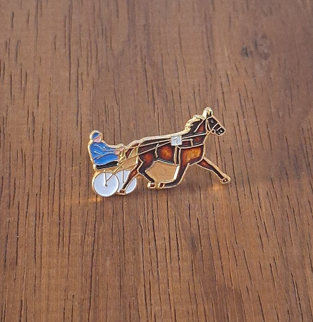 PIN - PAARDENKOERS - COURSE A CHEVAL, Envoi, Utilisé, Sport, Insigne ou Pin's