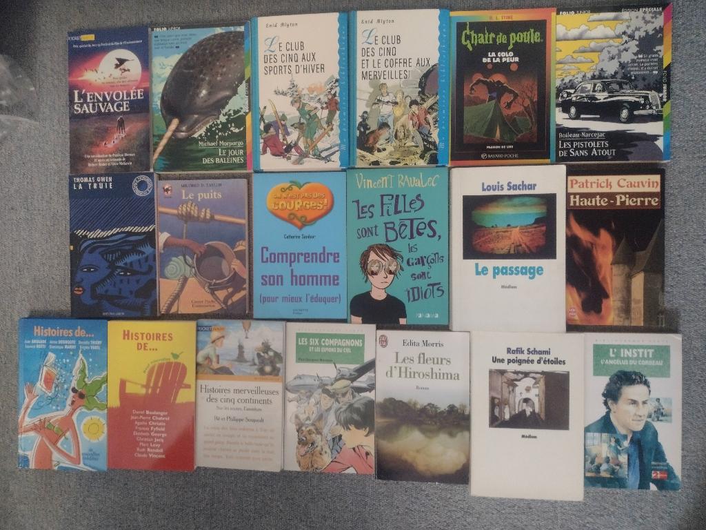 Lot de divers romans PRIX PLUS QUE SACRIFIE !, Livres, Romans, Utilisé, Enlèvement ou Envoi