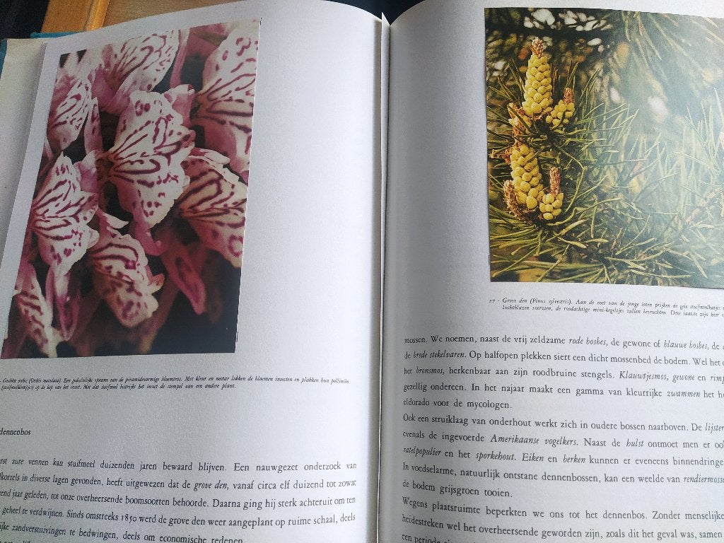 boek: natuur-en vogelreservaten/Hoge Venen & De Kempen, Boeken, Ophalen of Verzenden, Gelezen, Natuur algemeen