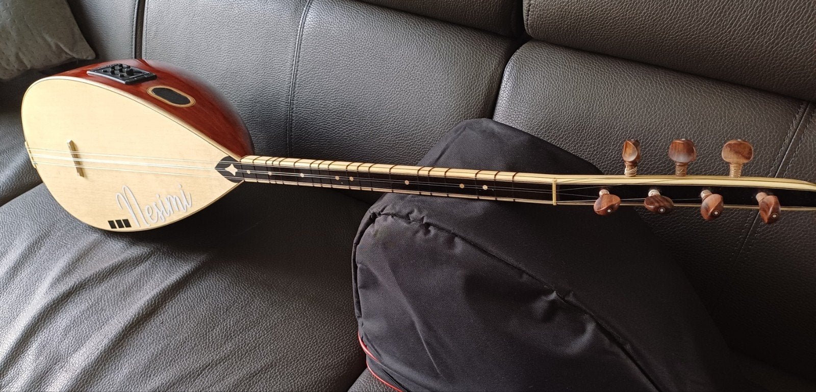 Saz - Bağlama pro, Enlèvement