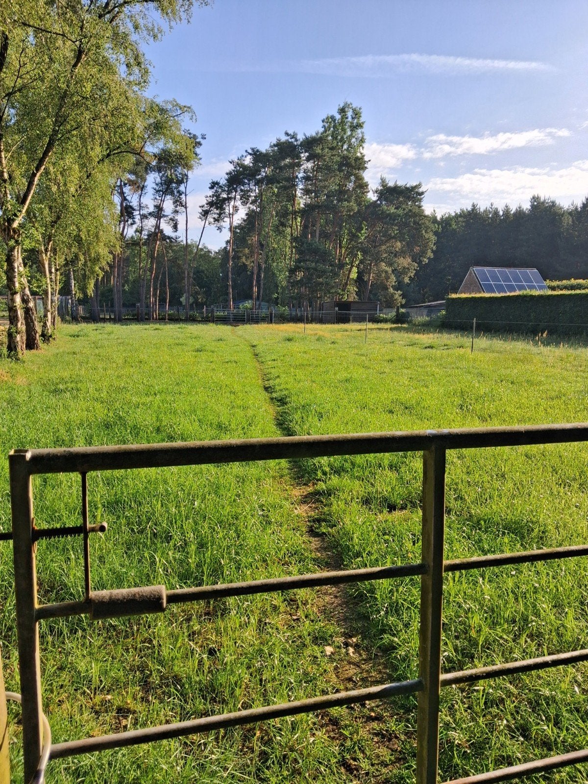 weide met stalling te westerlo op basis van vol pension, Stalling, 1 paard of pony