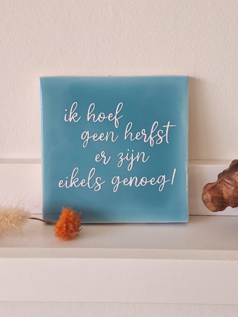 Blauw tegeltje met grappige tekst (10x10), Ophalen of Verzenden, Nieuw