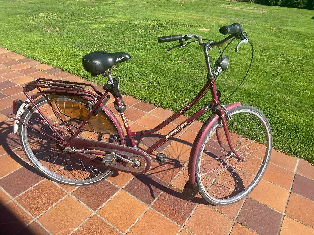 Batavus damesfiets, Fietsen en Brommers, Ophalen, Gebruikt, Velgrem, Versnellingen