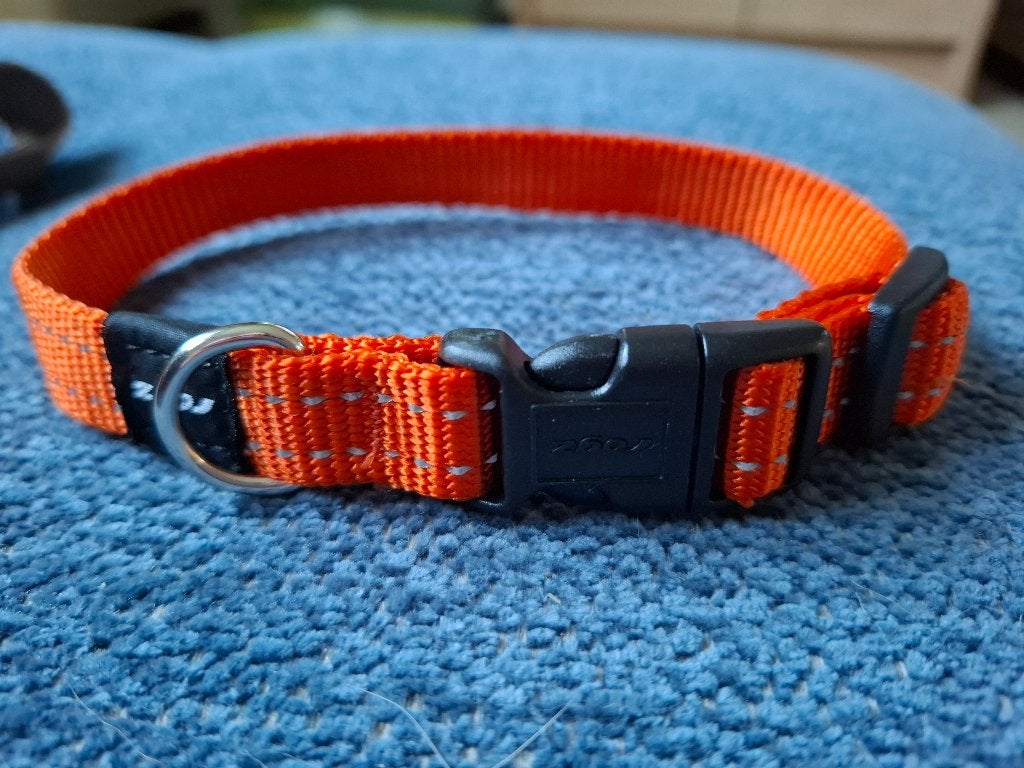 ROGZ kleine hondenhalsband, Dieren en Toebehoren, Verzenden, Zo goed als nieuw