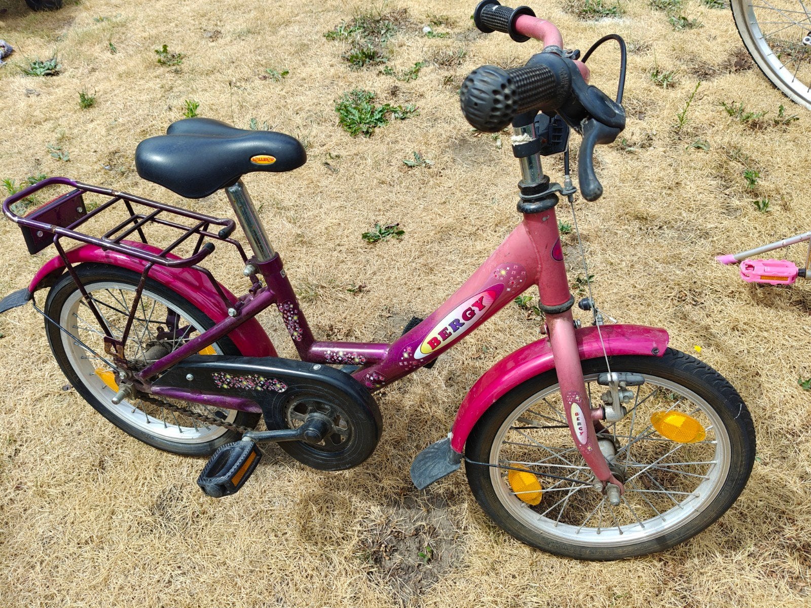 Meisjesfiets leeftijd 4-6 jaar, Ophalen