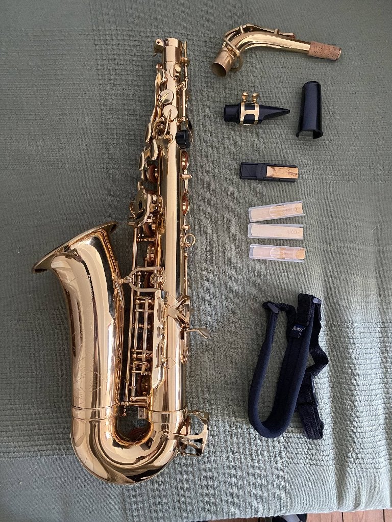 Saxophone Alto Arrow – Idéal débutant, Enlèvement, Utilisé, Alto, Avec valise