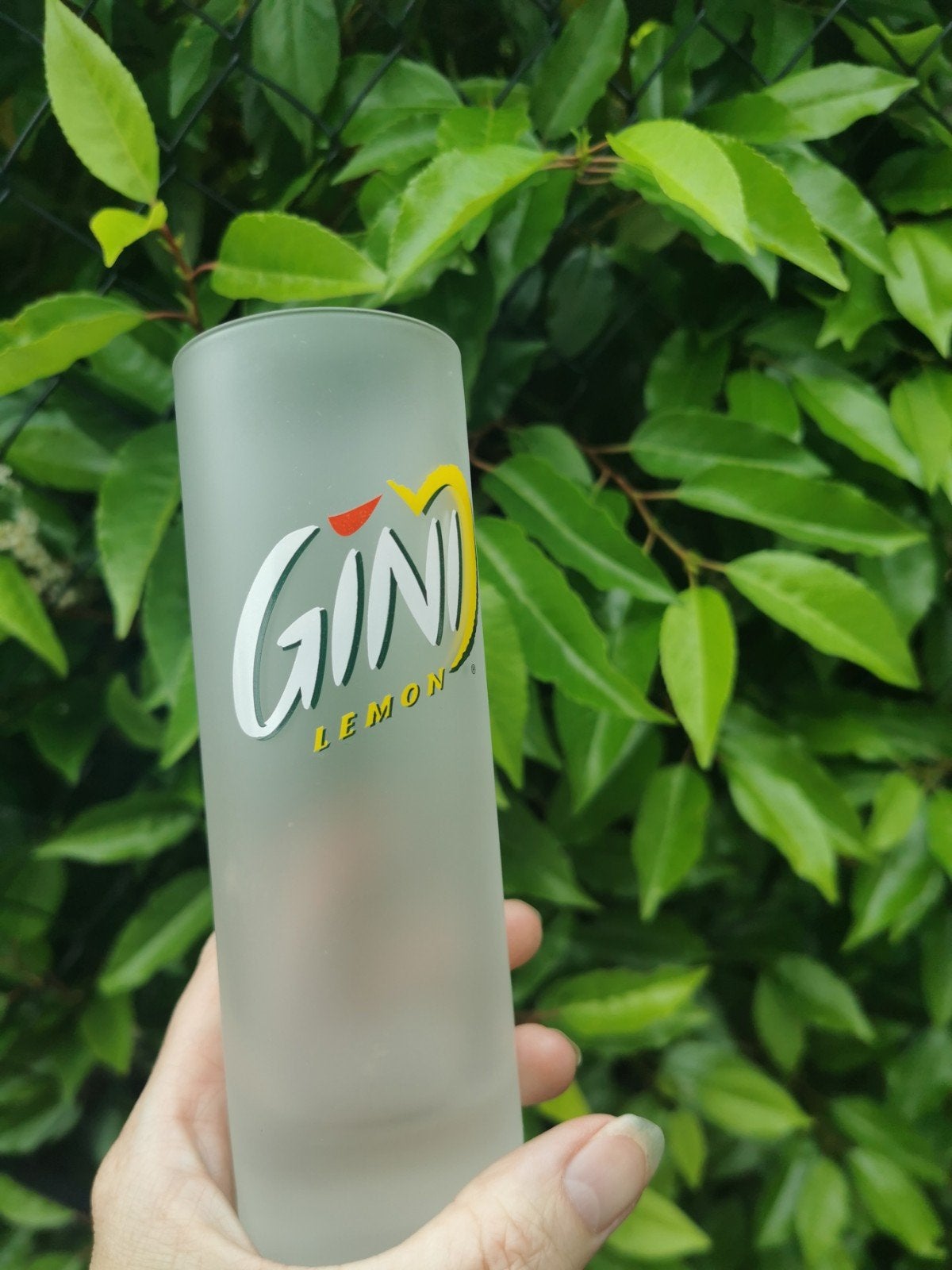 Verre Gini, Collections, Enlèvement, Neuf, Verre à soda