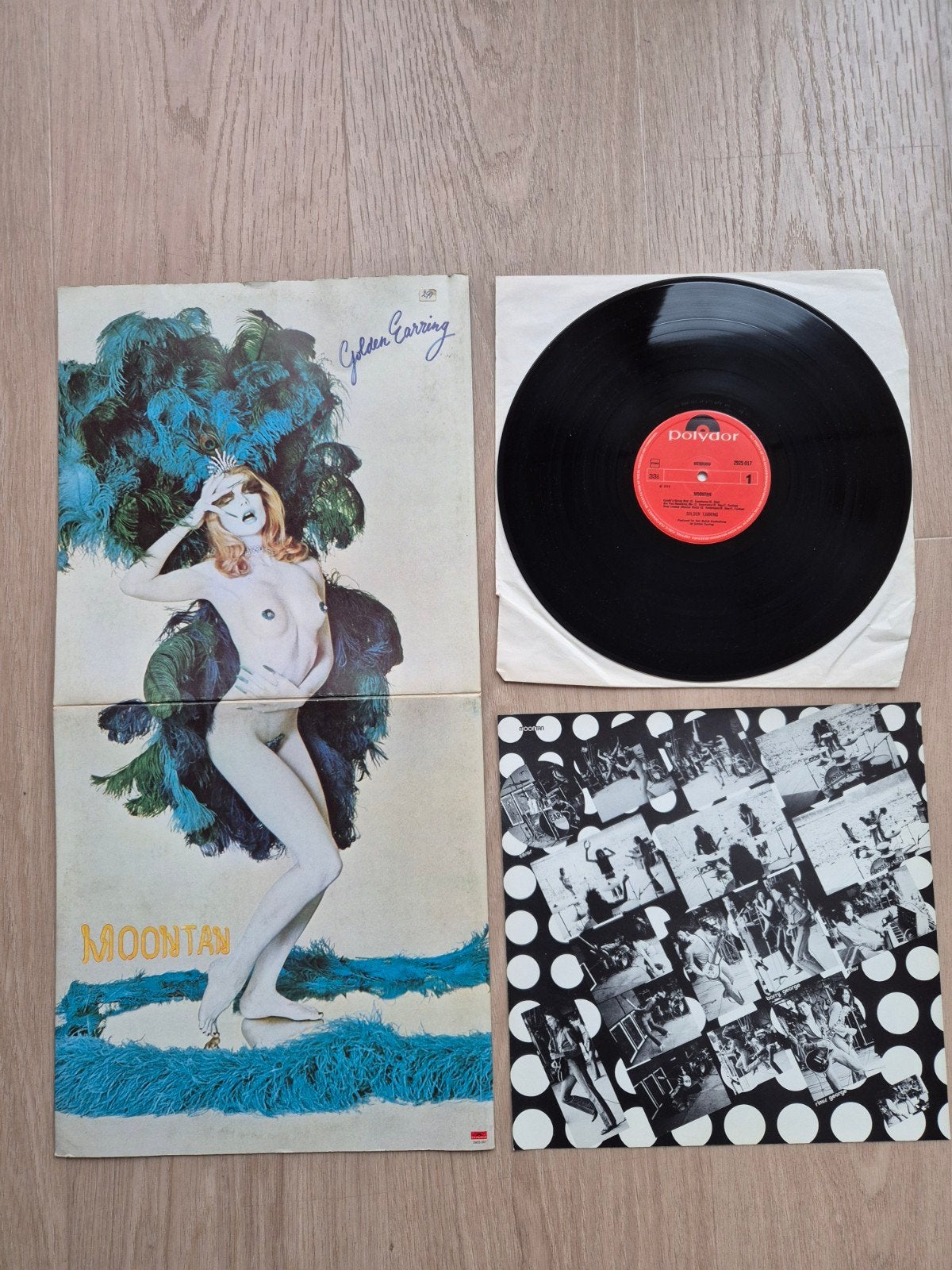 Moontan - Golden Earring, Enlèvement, LP