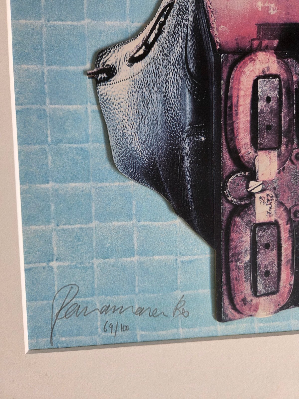 Panamarenk Magnetische schoenen, Antiek en Kunst, Kunst | Litho's en Zeefdrukken, Genummerd, Ophalen of Verzenden