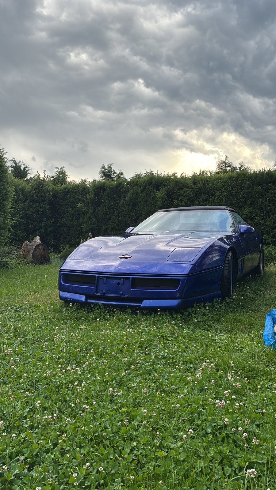 Corvette, Particulier, Achat