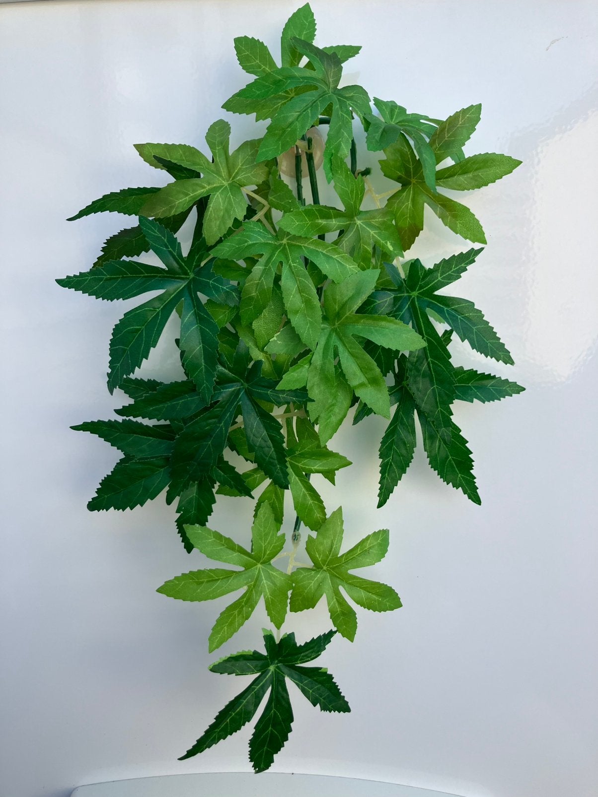 Terrarium accessoires (Exo Terra, Komodo, HabiStat), Enlèvement, Utilisé