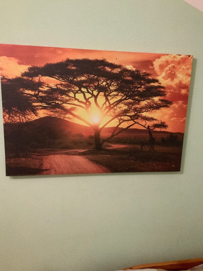 Canvas print, 50 – 75, Comme neuf, Enlèvement, Imprimé
