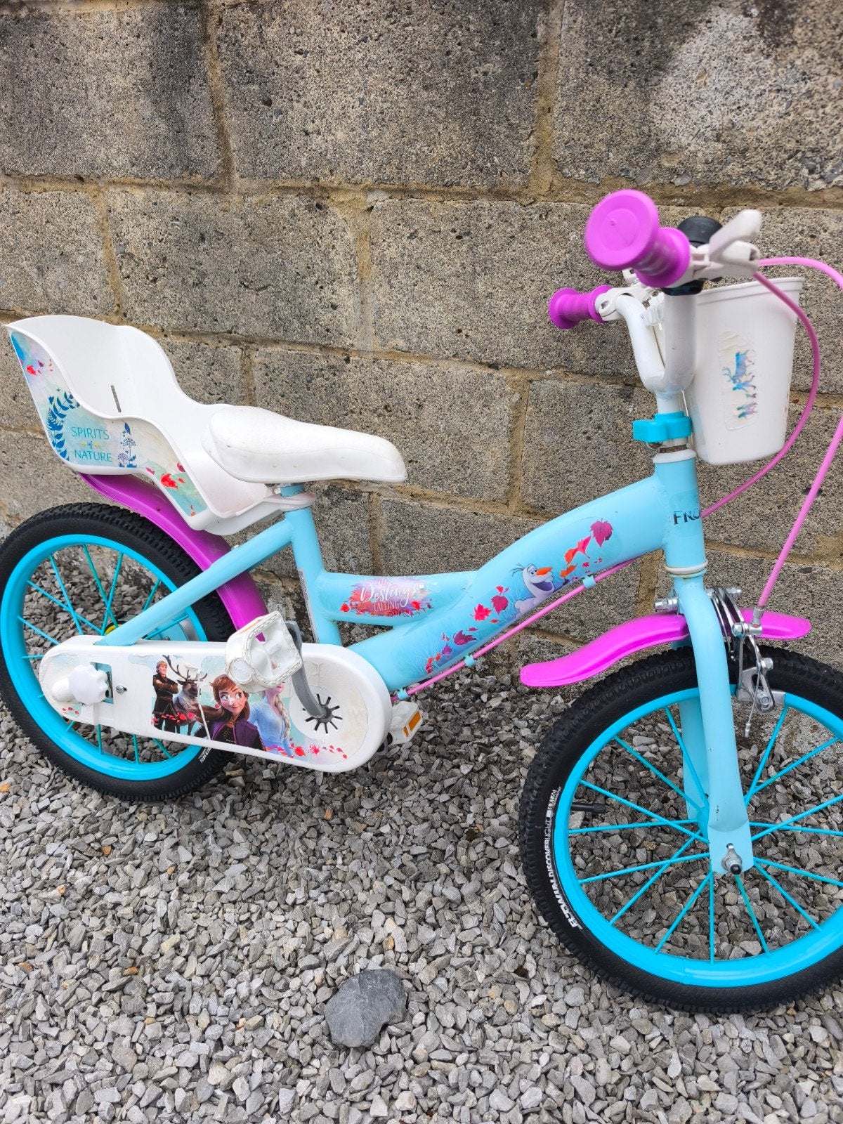 Vélo fille La Reine des Neiges 16 pouces avec petites roues, Sports & Fitness