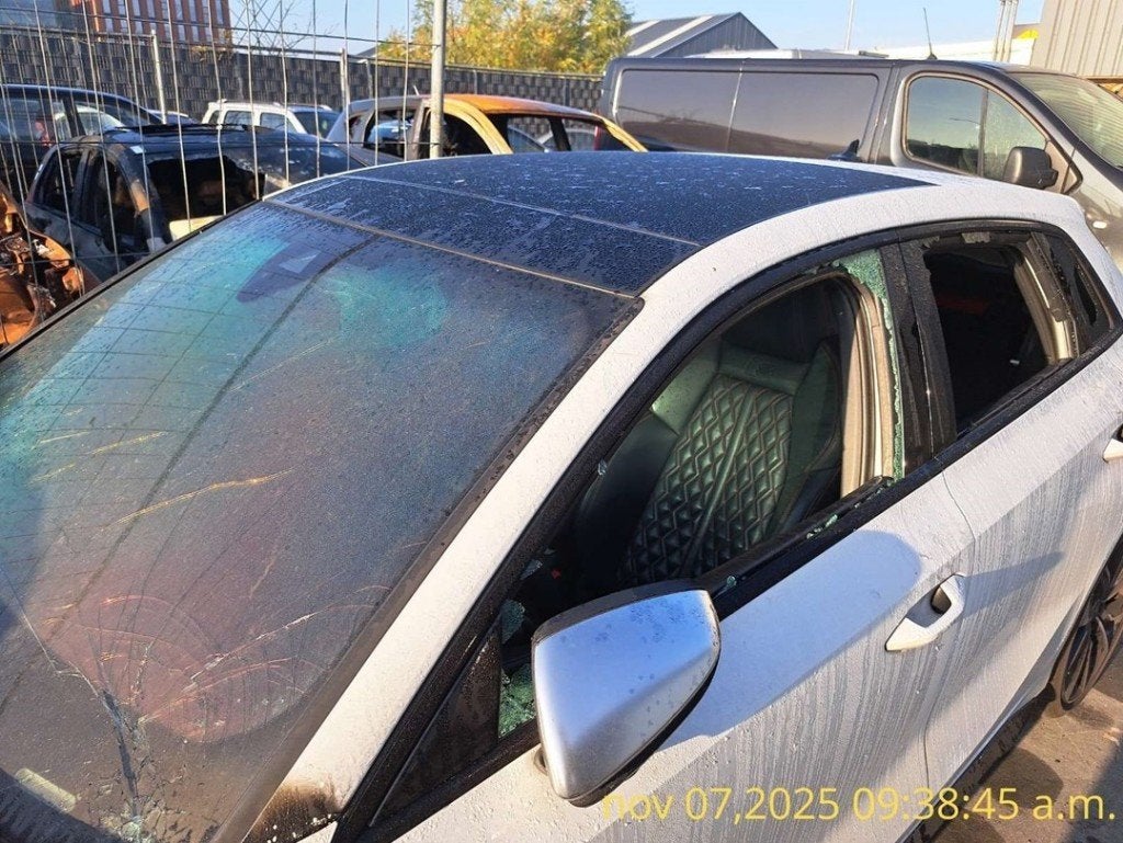 PANORAMADAK Audi S3 Sportback (8YA) (|8Y4877049B|), Info@audi.de, Audi, Audi AG, Gebruikt