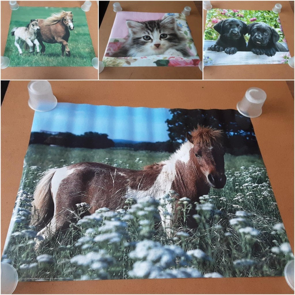 lot posters (40x50 cm) 45 stuks, Enlèvement, Neuf