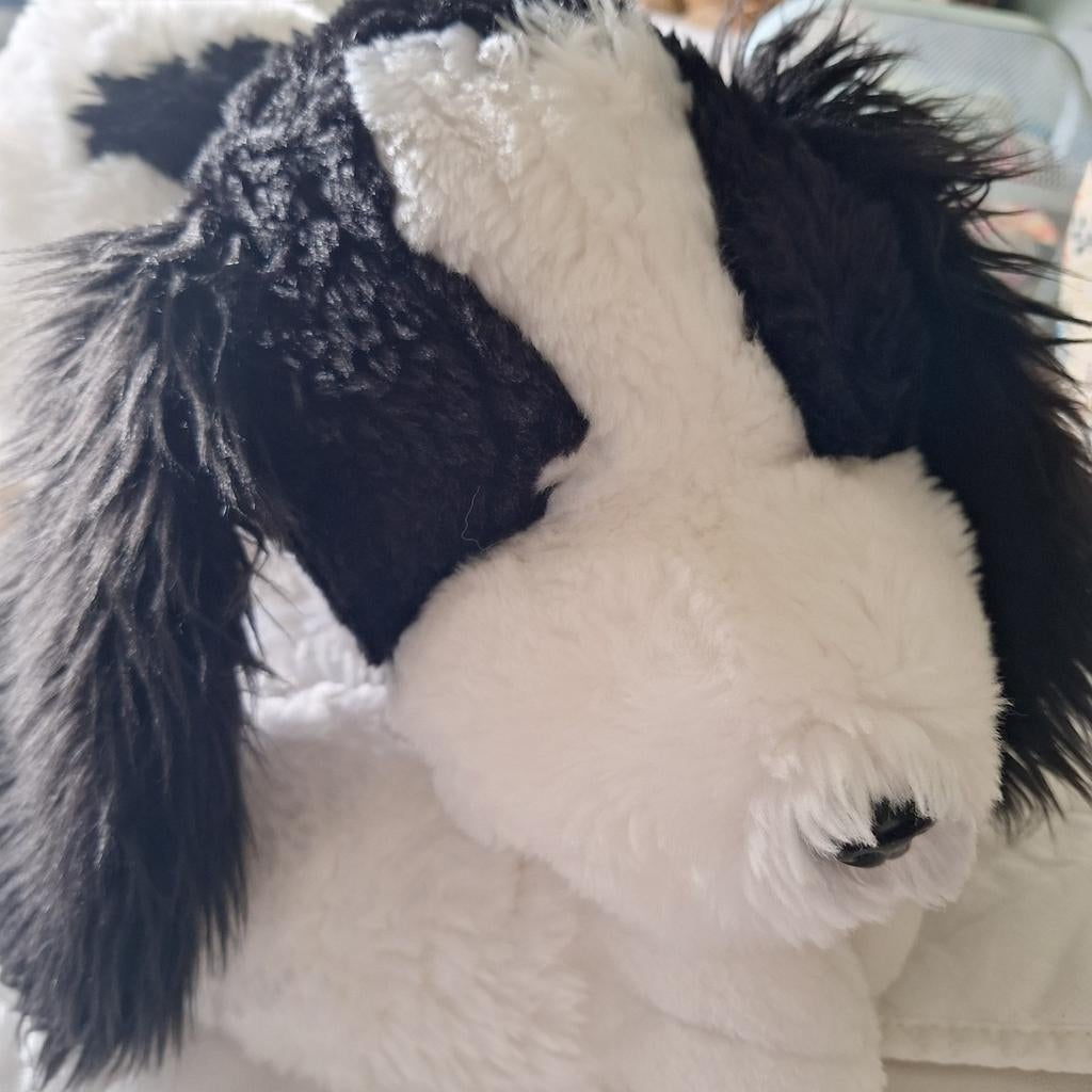 Pluche hond, wit met zwarte oren, Ophalen