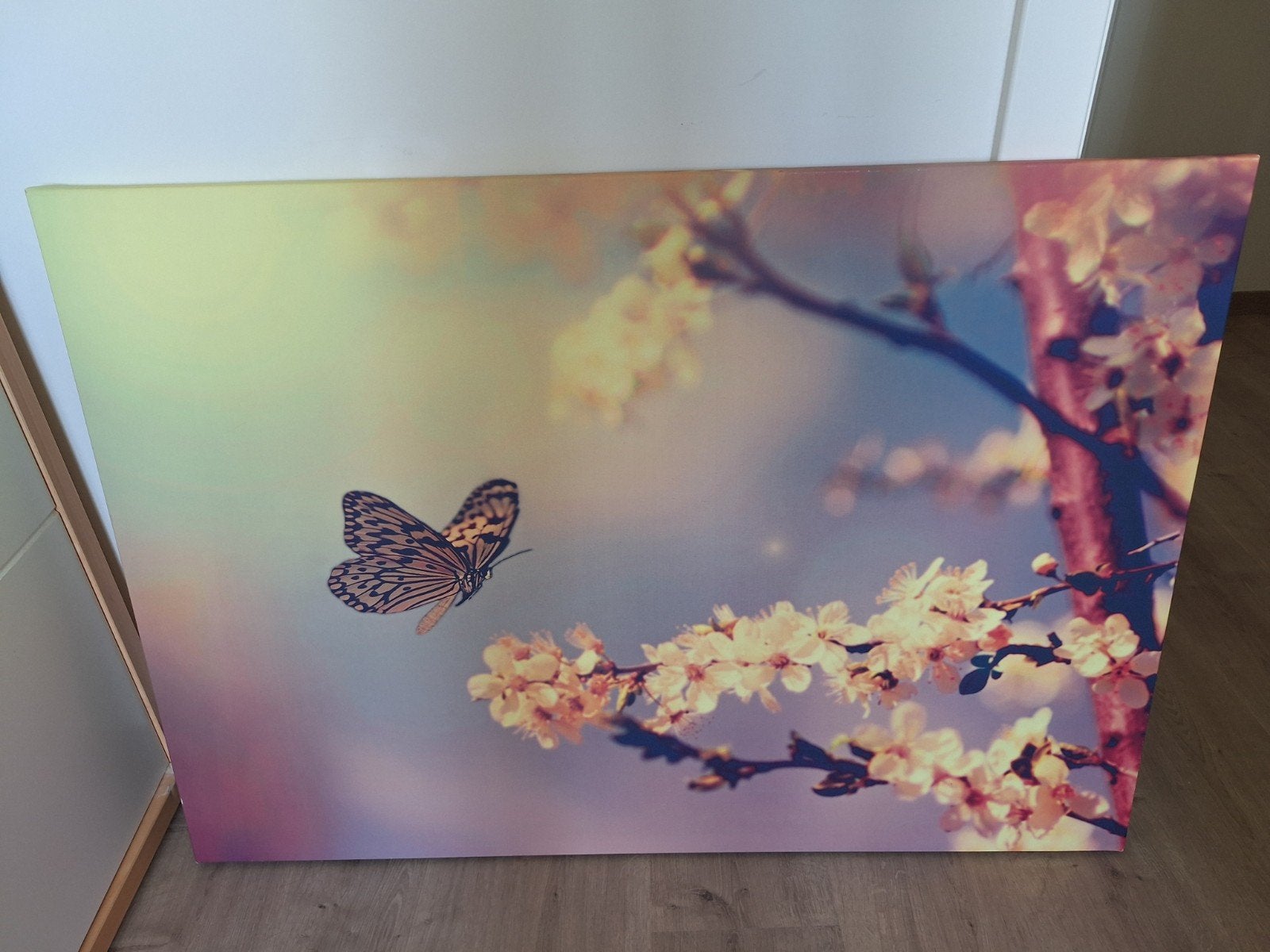 Fotokader (doek) vlinder 70 x 100 cm, Enlèvement