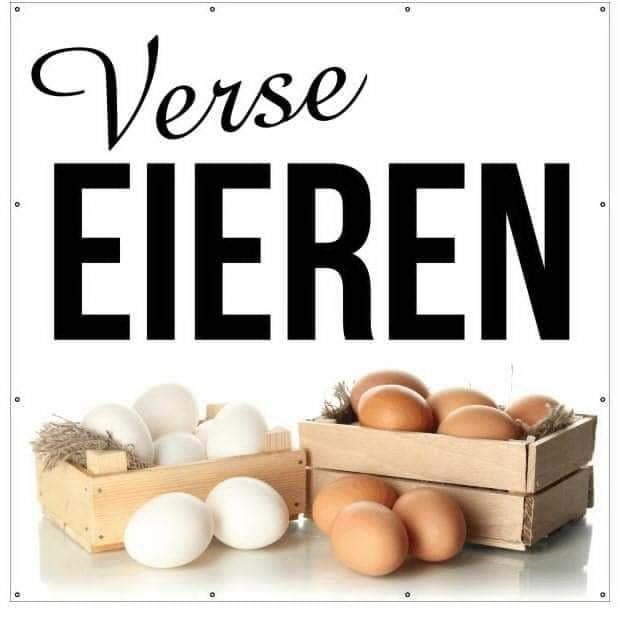 verse scharreleieren, Diversen, Levensmiddelen, Ophalen