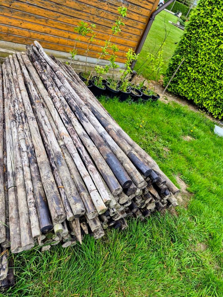 Houten weide palen 250cm x 6 cm, Tuin en Terras, Palen, Balken en Planken, Gebruikt, Palen, 250 cm of meer, Ophalen