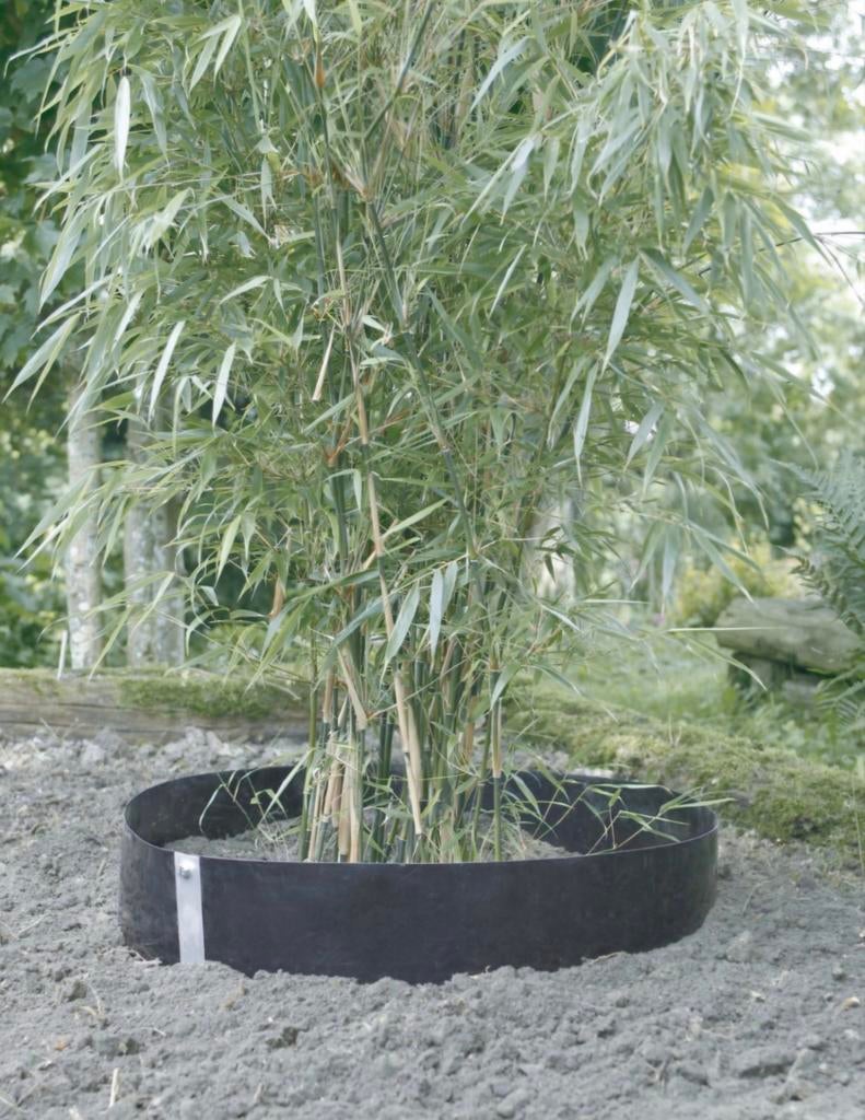 Wortelbegrenzer, rootbarriëre, rizoom folie 65 cm, Enlèvement