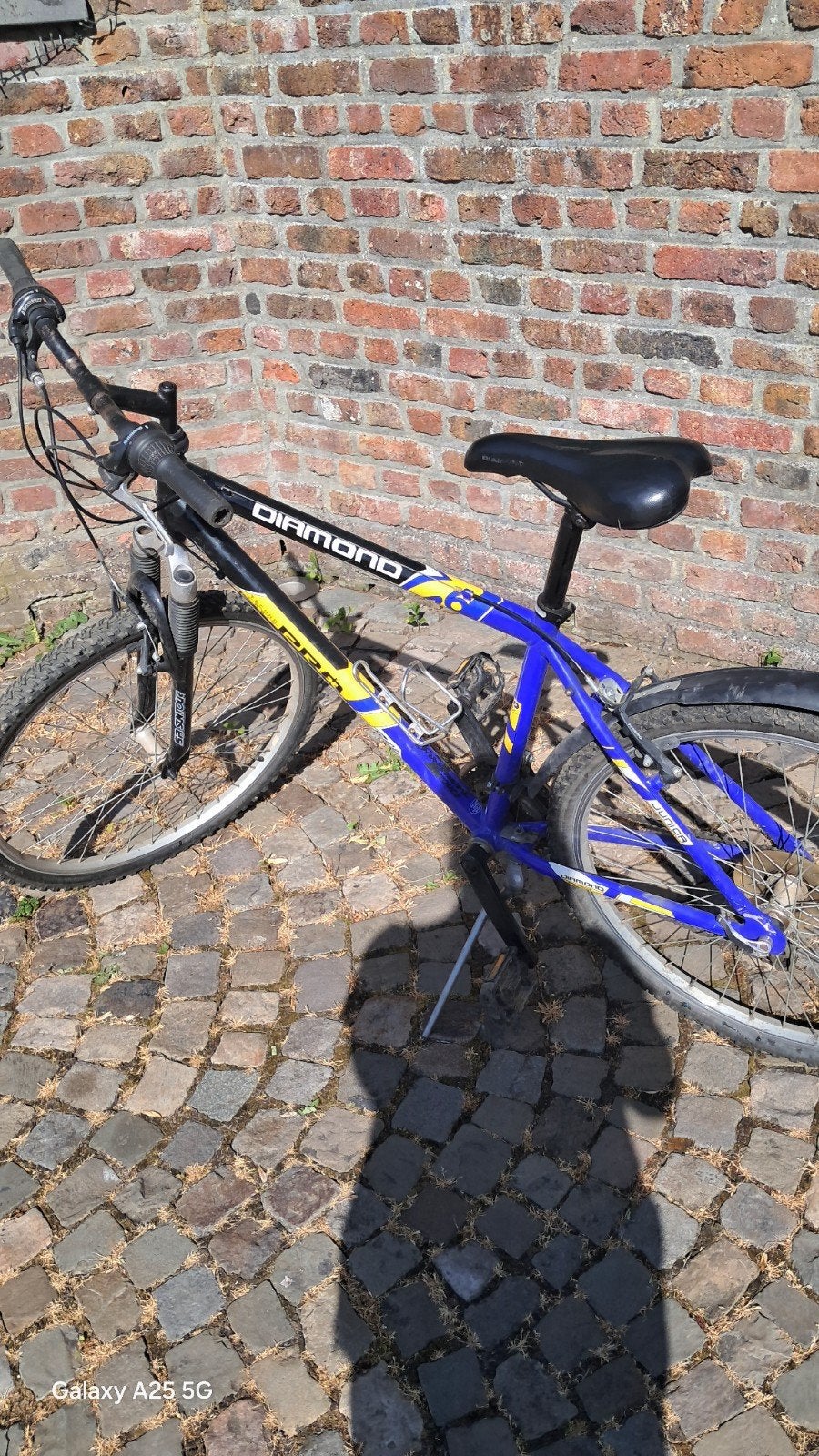 Vélo Diamond, Fietsen en Brommers